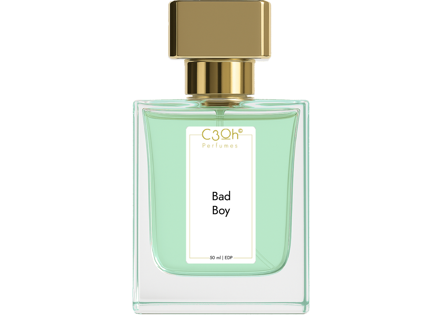 C3oh Bad Boy Perfume Spray for Men Leathery Earthy Hemp Fragrance 50 ml 100 ml Mens Eau De Perfume Spray Luxury Gift for Him Perfume for Bold Confident Seductive Mysterious Men