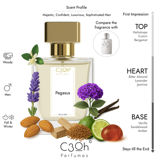 C3oh Pegasus | Men's Perfume | Woody Fragrance | 50 ml & 100 ml