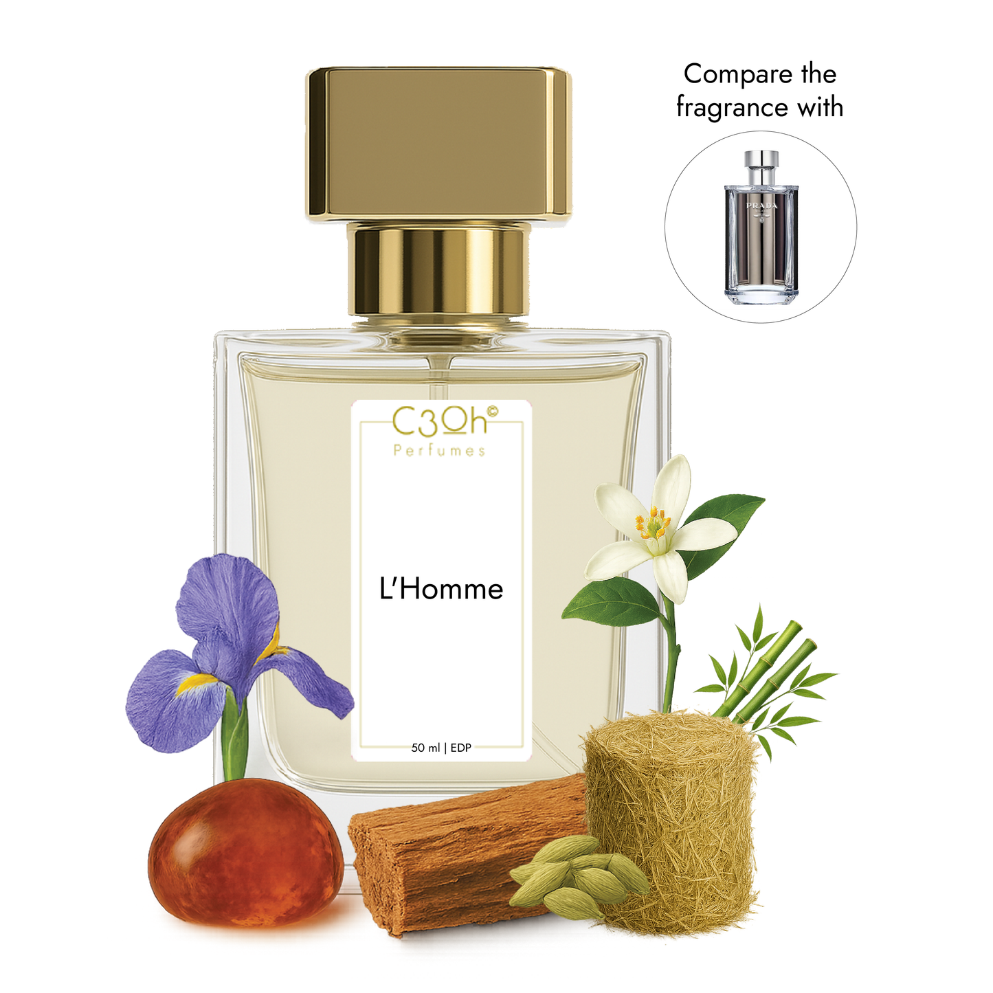 C3oh L'Homme | Men's Perfume | Woody Chypre Fragrance | 50 ml & 100 ml