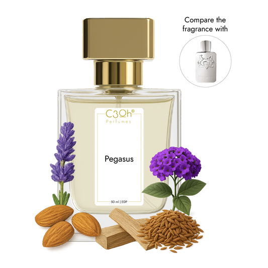 C3oh Pegasus | Men's Perfume | Woody Fragrance | 50 ml & 100 ml