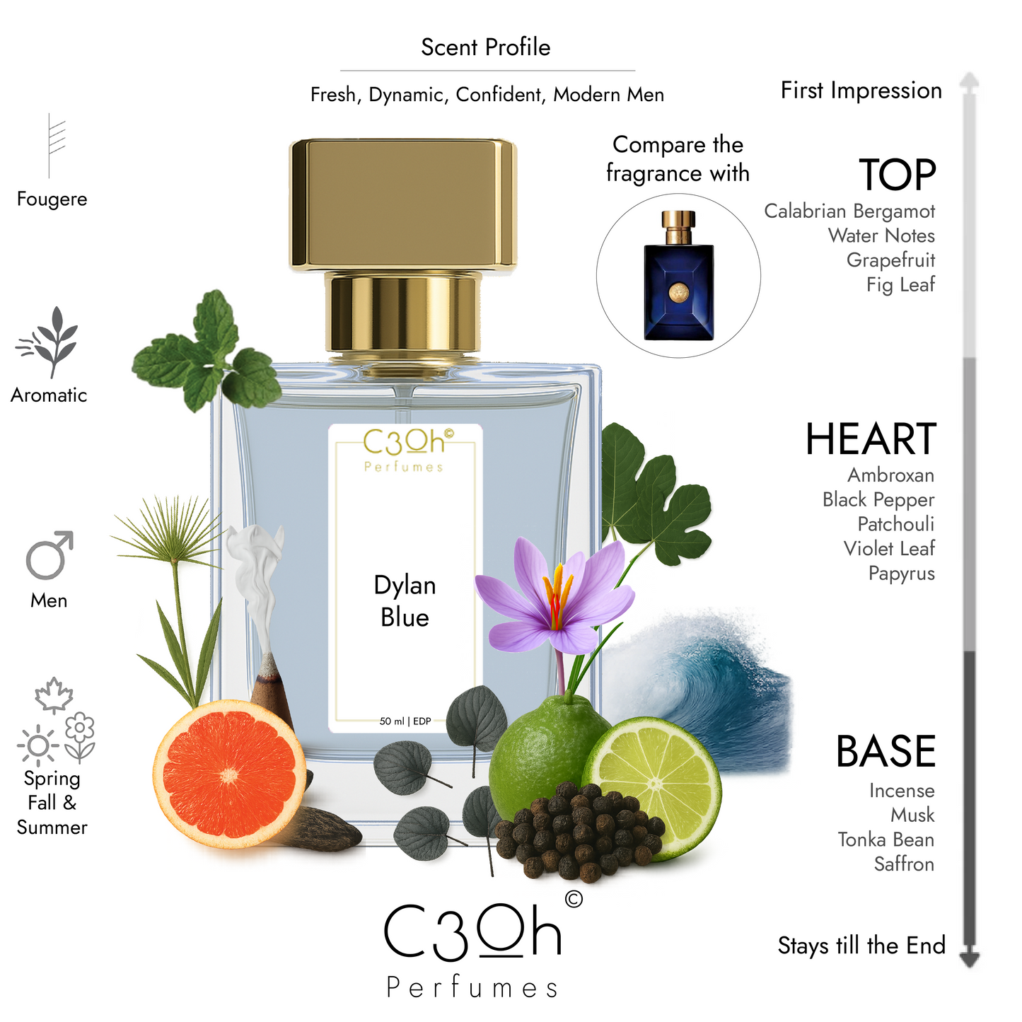 C3oh Dylan Blue | Men's Perfume | Fougere Aromatic Fragrance | 50 ml & 100 ml