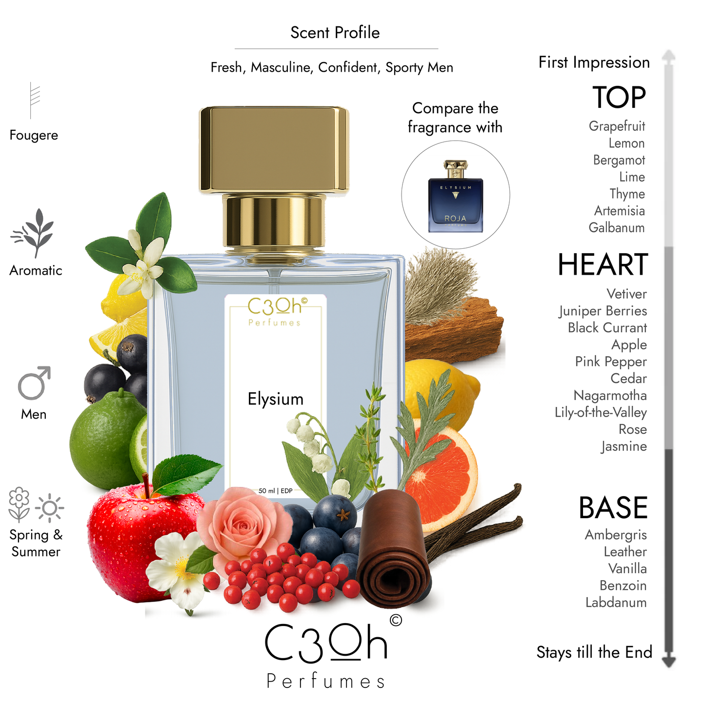 C3oh Elysium Perfume Spray for Men | Aromatic Fougere Fragrance | 50 ml & 100 ml Men's Eau De Perfume Spray | Luxury Gift for Him | Perfume for Fresh Elegant Confident Sophisticated Men
